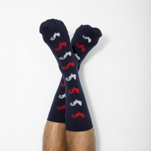 Chaussettes - Garçon Français - tricolore